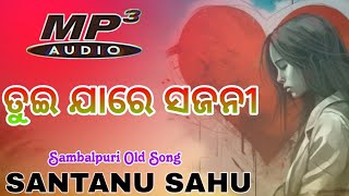 Tui Jaa Re Sajani Ja || Santanu Sahu || Old Sambalpuri Song || Sambalpuri Sad Song || Download MP3