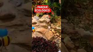 PARQUE ECOLÓGICO MONGAGUA #turismo