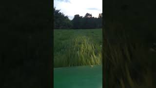 Stock Mobbing in a John Deere Gator.