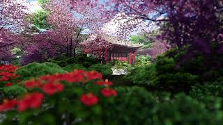 ( CGI 4k Stock Footage ) Japansese asian buddhist architecture temple zen garden 4