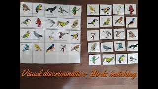 Visual discrimination activity - matching birds