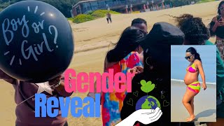 Girl or Boy?? Gender Reveal❤️😊|| Mini Vlog || South African YouTuber