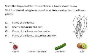 Quick Science Hacks - fruit developed from flower