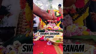 Swamiye Saranam Ayyappa #padipooja #ayyappa #devotionalsongs #sabarimala #swamiye #ayyappan #shorts