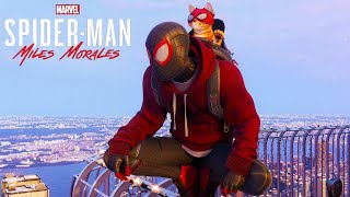 Spider Man Miles Morales Pro Web Swinging and Pro Combat Gameplay