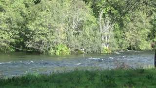 Rio Lima em Ponte da Barca