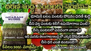 ధరణి శుద్ధి పంటలకు సంజీవని౹౹ Dharani sudhi an organic soil conditioner ౹౹ call 9110533670 6300644611