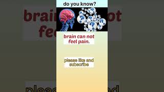 fact 77, brain no pain