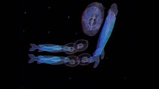 Hot Hero Sandwich Animation Segment: "Have You Seen the Stars Tonite," by Paul Kantner