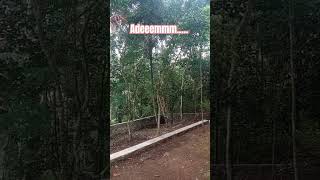 Di Kebun Adem