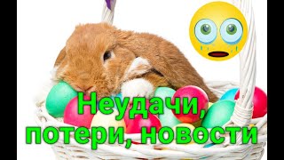 ПОТЕРИ, НЕУДАЧИ И НОВОСТИ, ОБЗОР ПИТОМЦЕВ.