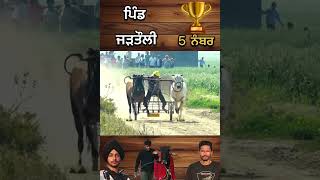 Ox Races | Live Ox Races | Khalsa tv live ox Race | Bullcart Races | Bald Races