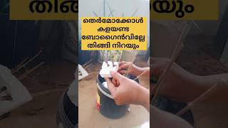 തെർമോക്കോൾ എങ്ങനെ ചെയ്താൽ ബോഗൈൻവില്ല തിങ്ങി നിറയും /poppy vlogs