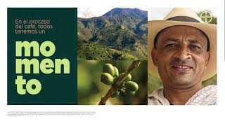 Momentos del café | Agro Bayer Colombia