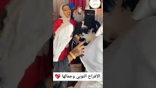 افراح النوبى وجمالها وتحية ليهم.........❤❤