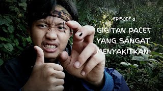 ( SURVIVAL TIPS 8 ) Lintah yang sering mengigit di hutan/gunung ( pacet )