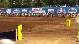 REDBUD!!!!! 2012 buchanan michigan