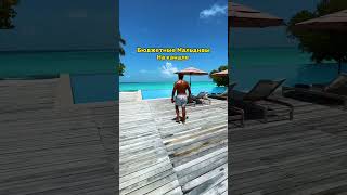 #Shorts Про жизнь на Мальдивах🌴 #maldives #мальдивы #tiktok #тикток #словопацана #shorstvideo