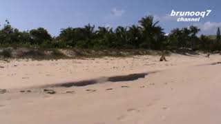 Playa Flamenco   Puerto Rico