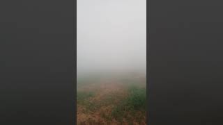 Fogy weather|dhundh|Badwal Desi vlog|