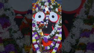 LUCHICHI HE JAGA LUCHICHI SONU NIGAM ODIA JAGANNATH NKA BHAJANA