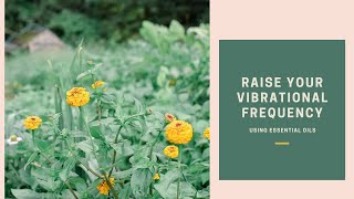 Raise Your Vibrational Frequency with Essential Oils