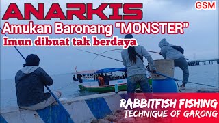 ANARKIS, Amukan "Baronang  MONSTER" bikin Imun tak berdaya