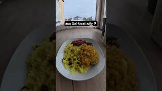 කහ බත් කන්න කැමති අය subscribe කරලා කන්න එන්න 🌝🌚🇩🇪❤️ #subscribe #shorts #yellowrice