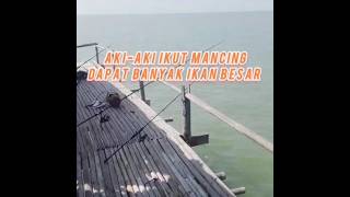 Aki aki ikut mancing dapat banyak ikan besar besar