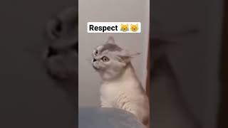 #respect