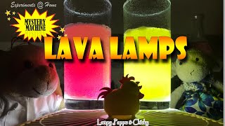 How to do a Lava Lamp | Experiments 🔬 at Home | TinyworldLP