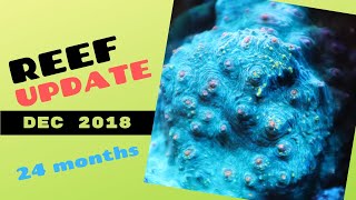 Reef Update Dezember 2018 | 24 Monate | Red Sea Reefer 525 XL