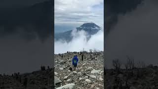 TREK TURUN GUNUNG SINDORO VIA KLEDUNG #shorts