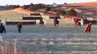 Masterclass day- schooling the horses