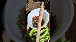 Harvest Wingbeans & Chili