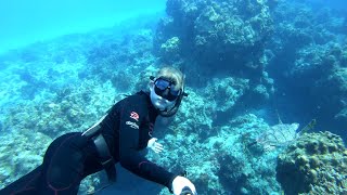 Freediving at Palancar Reef, Colombia Shallows and Palancar Horseshoe. Cozumel , February 2020.