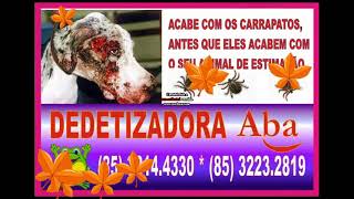 DEDETIZAÇÃO DOM LUSTOSA 85 3214 4330