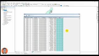 How to use Field calculator function to manage attributes table In ArcGIS