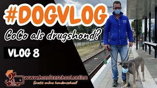 #Dogvlog 8 - Wat doet CoCo in de coffeeshop? Mondkapje op en met de trein naar Emmen