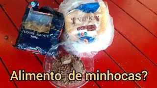 Minhocas: maneiras  pouco comum de alimentar as minhocas.