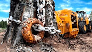 75 Largest Heavy Equipment Machines Operating on a New Level ►1