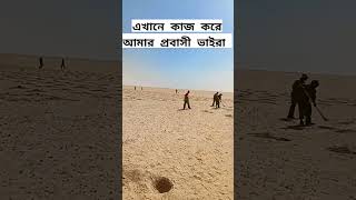 ৫৪ ডিগ্রী তাপমাত্রায় তপ্ত রোদে কিভাবে কাজ করে যাচ্ছে আমার প্রবাসী ভাইয়েরা।#saudiarabia #dubai #qatar