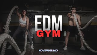 Energetic EDM MIX [November 2024] ⚡️🔋 for Your Workout Session 💪🏻