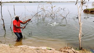 Indian Fishing 🎣  Fisher man Catching in BiG Rohu Big Tilapia and Silver Fishes to Single Hook