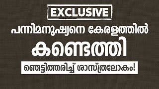 പന്നിമനുഷ്യനെ കേരളത്തിൽ കണ്ടെത്തി- ഞെട്ടിത്തരിച്ച് ശാസ്ത്രലോകം!│ANIL KODITHOTTAM│©IBT MEDIA