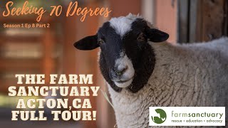 A Compassionate Journey: Touring the Farm Sanctuary in Acton, CA