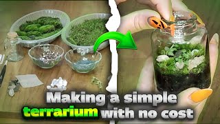 Simple terrarium with no cost