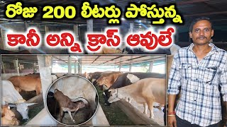 రోజు 200 లీటర్లు vaibhav dairy farm @MalleshAdla