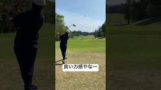 #shorts#taylormade#golf #swing #shottracer#shot #गोल्फ़#callaway #ping #titleist #tigerwoods#タイガーウッズ