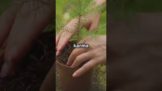 comprendre le karma en 60sec. #motivation #karma #developpementpersonnel #mindset #citation